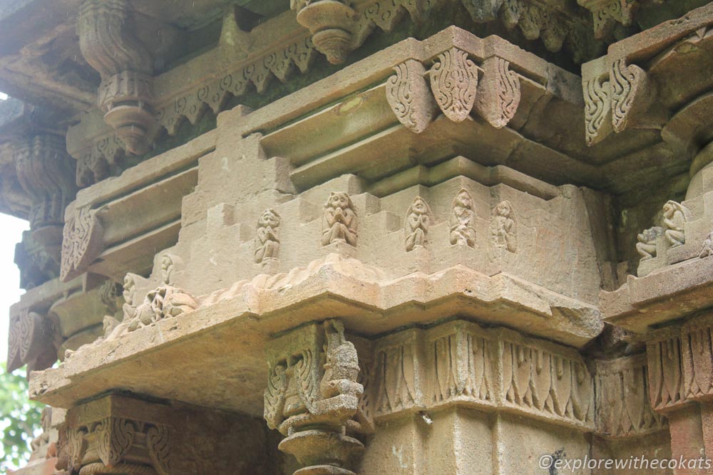 Interesting carvings on the temples: Polo Forest Guide