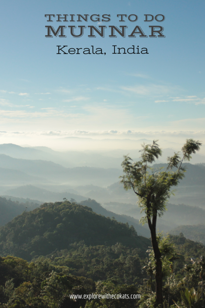 Munnar valleys view | Munnar tea plantations | Things to do in Munnar Kerala