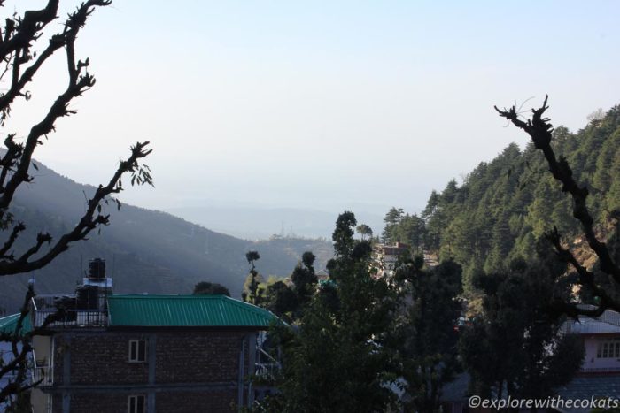 View from my homestay in Dharamkot