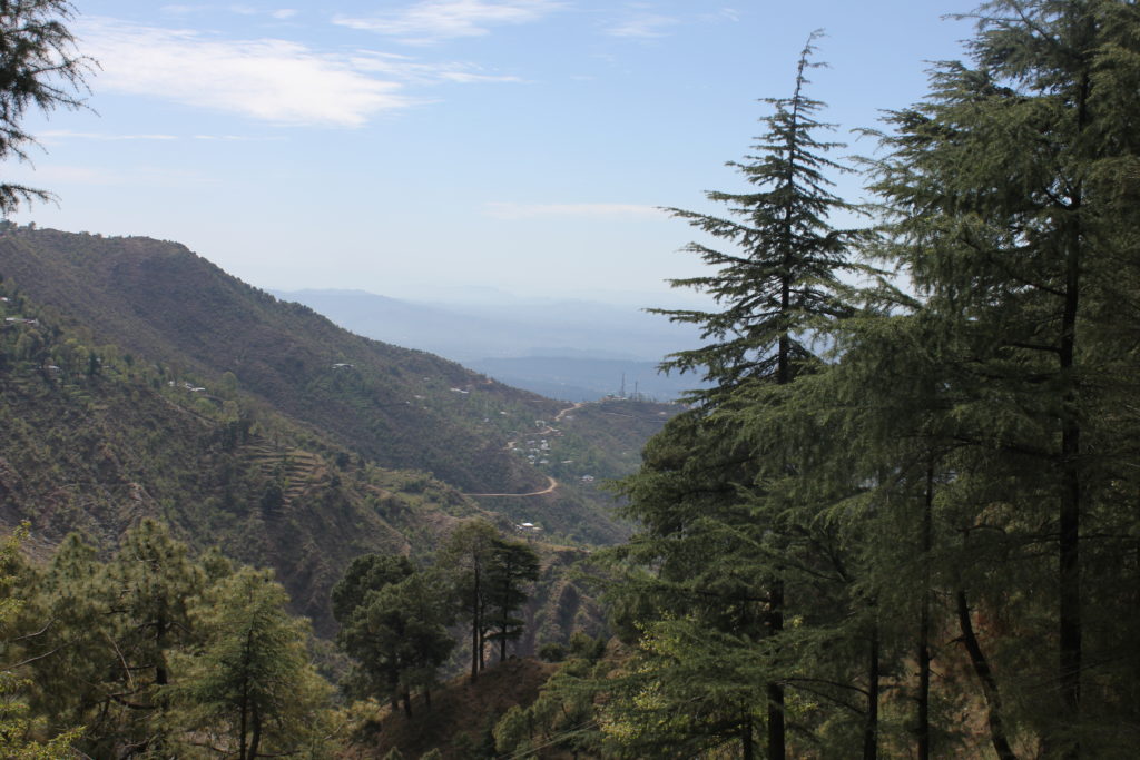 Dharamkot village near Mcleodganj