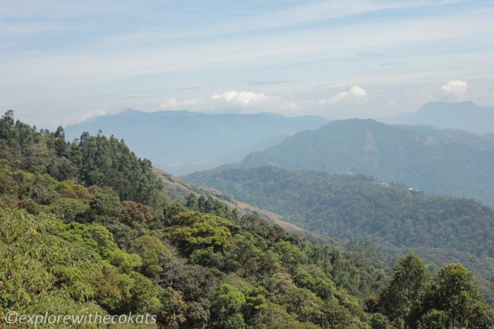 Trekking in Munnar | Hiking in Munnar