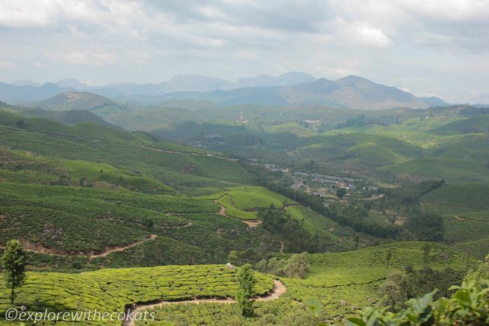 Munnar valleys view | Munnar tea plantations | Things to do in Munnar