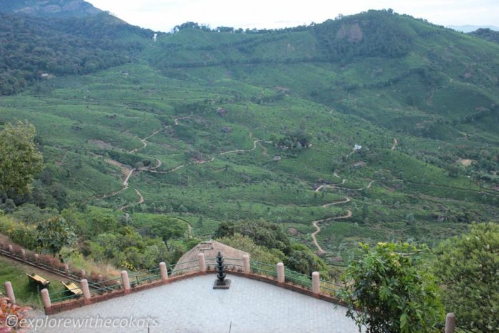 View from my Munnar resort room - Blackberry Hills