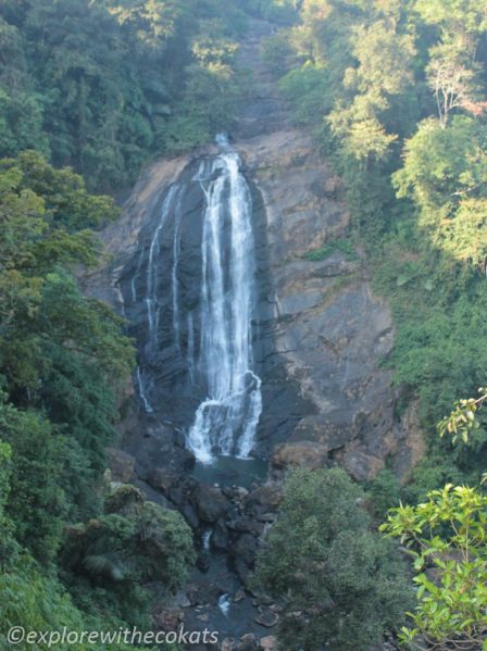 Waterfalls near Munnar | Things to Do in Munnar