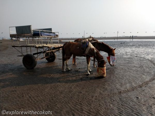 Horse buggy at alibaug beach