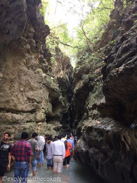 Guchhu Paani | Robber's Cave| Is dehradun worth a stopover