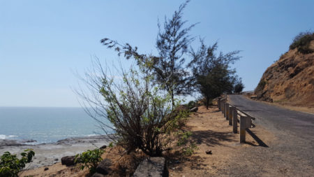 Aravi Beach, Konkan, Maharashtra