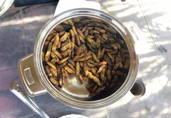 Silkworms are a delicacy in Assam