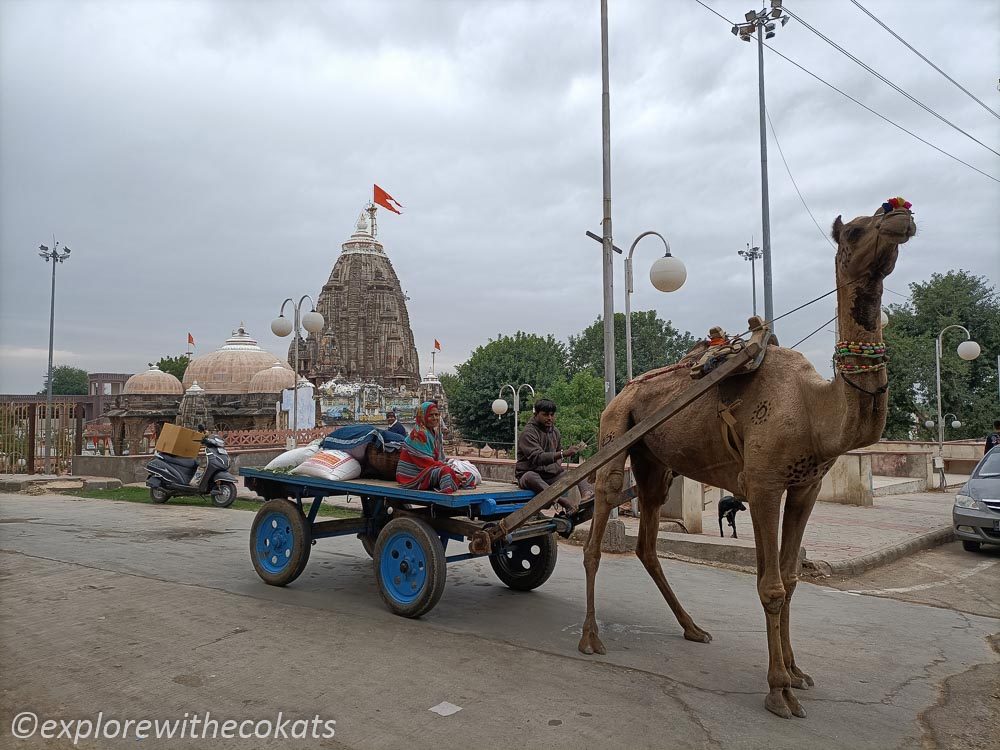 A camel cart in Vadnagar