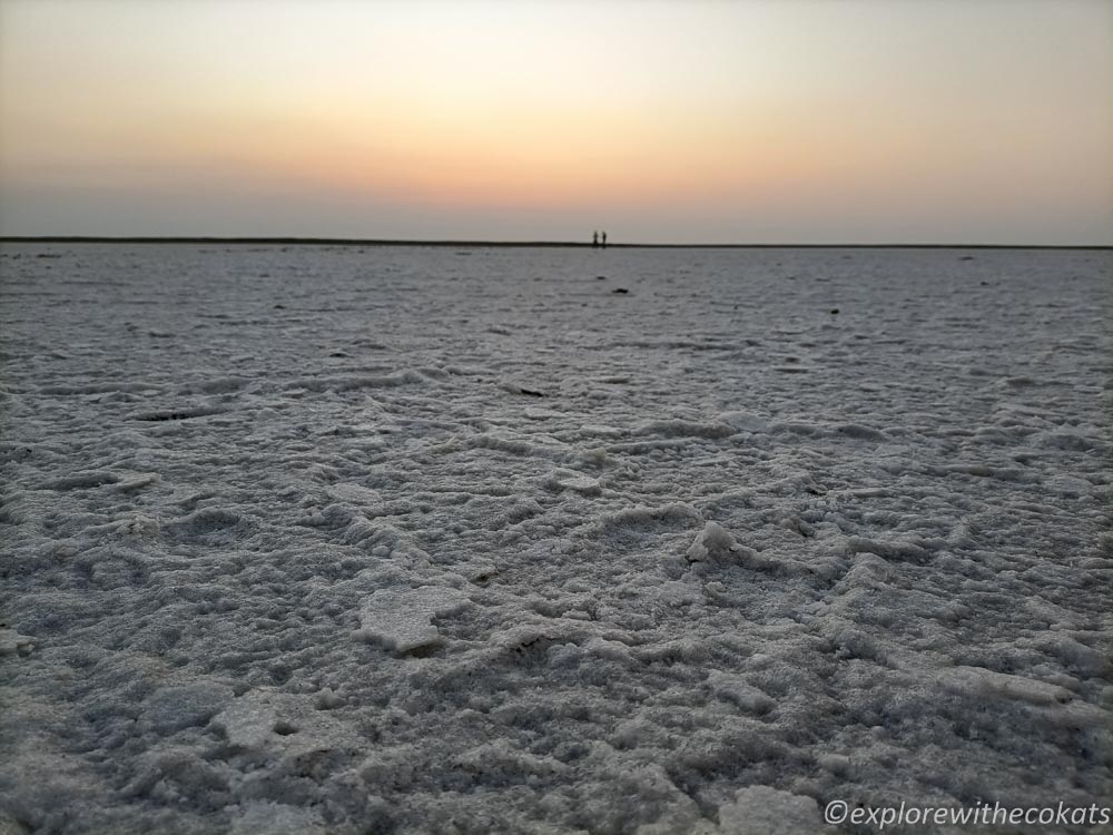Sunset at white desert