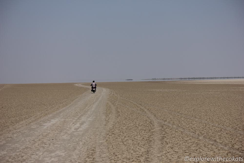 Little Rann of Kutch