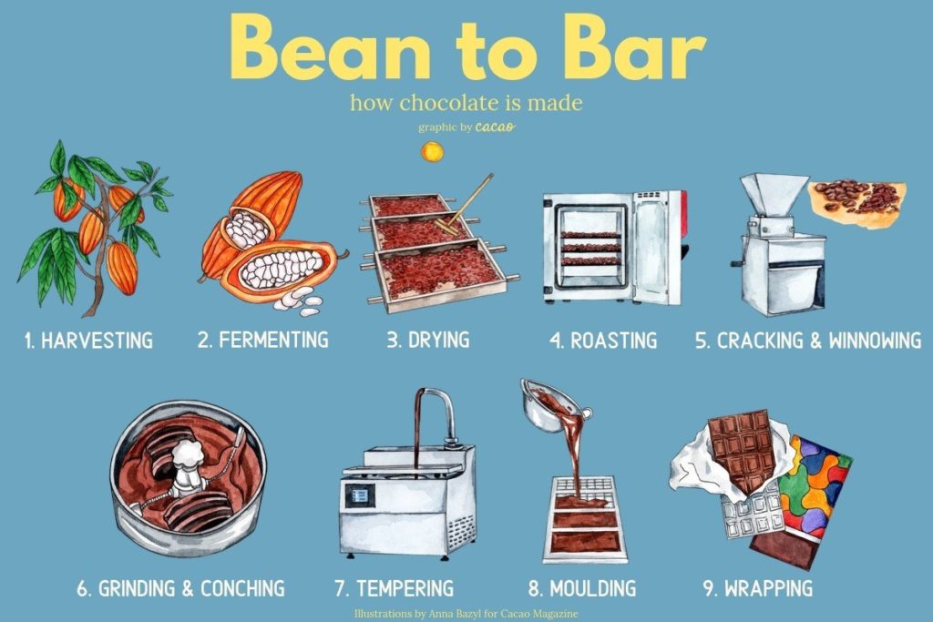 Bean to Bar Process