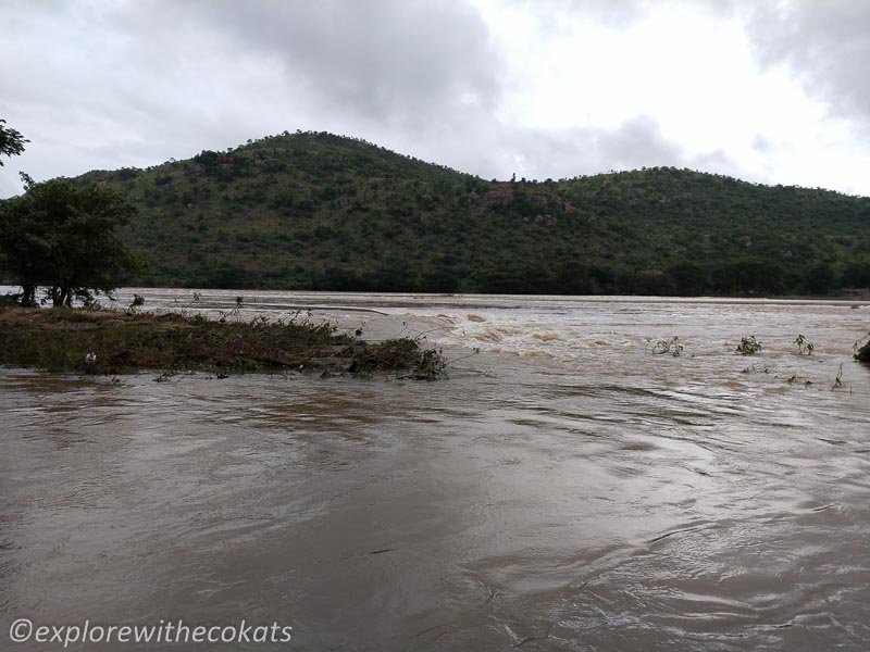 Cauvery (Kaveri) River that feeds the Shivanasamudra Falls