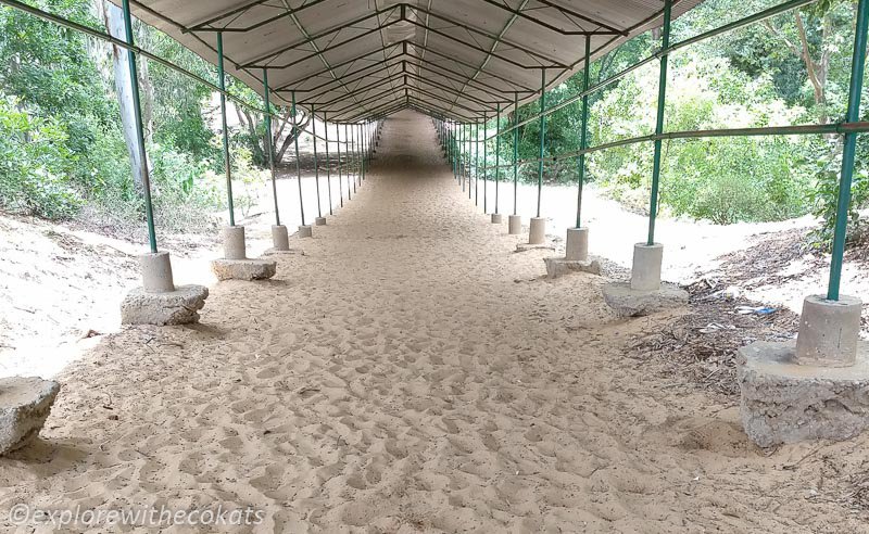 Sand laden path leading to Talakadu temples