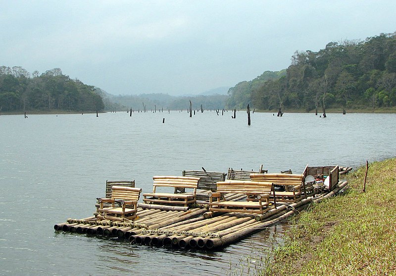 Bamboo rafting on Periyar Lake