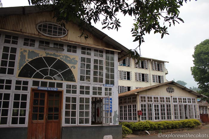 Conmera tea factory visit Thekkady