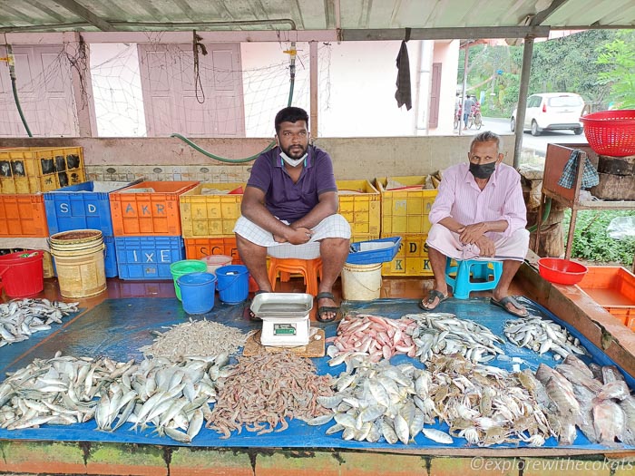 Fresh fish catch at Cherai Beach