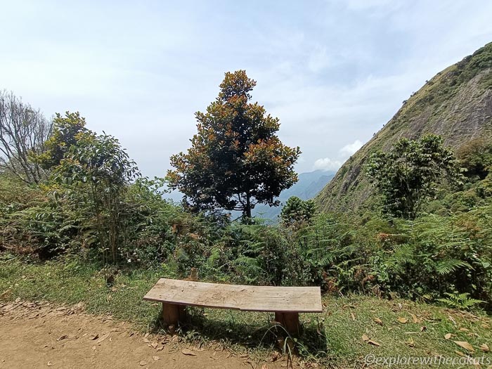 Munnar mountains while trekking in Munnar