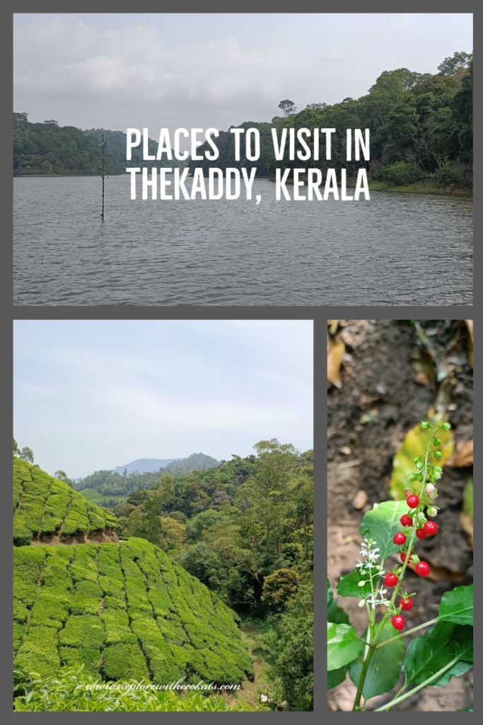 Places to visit in Thekkady and things to do in Thekkady