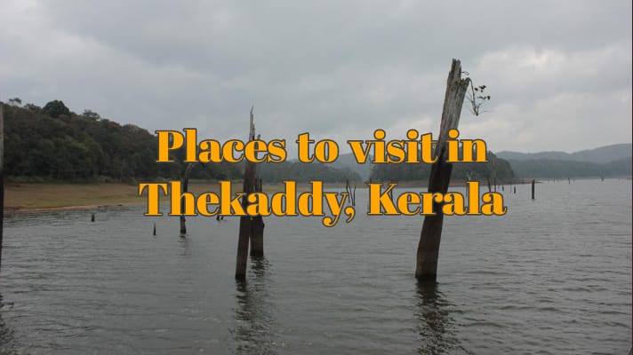 Places to visit in Thekkady and things to do in Thekkady