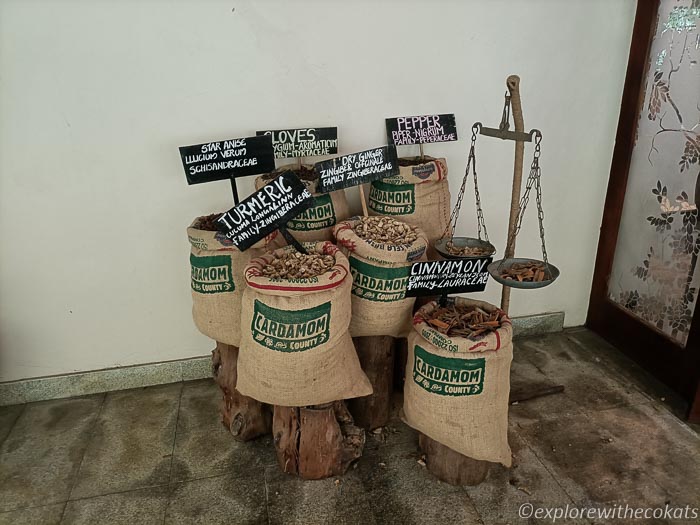 Spices shopping in Thekkady