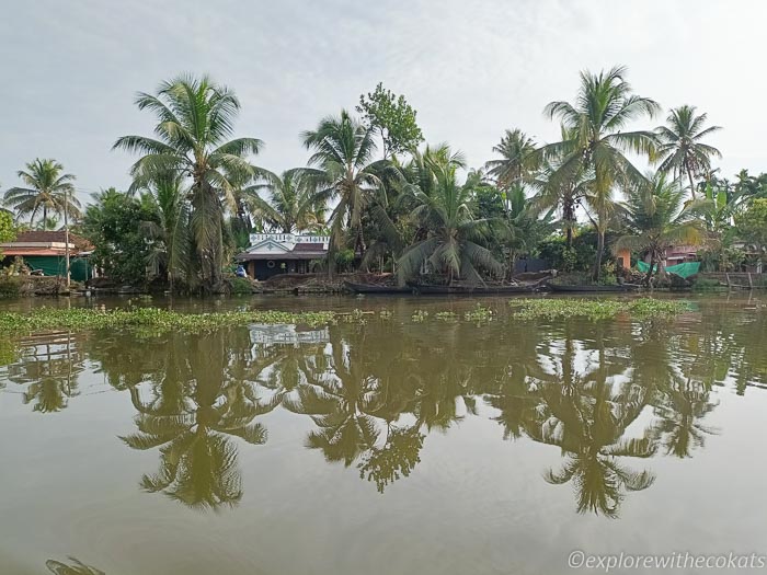 Kumarakom backwaters