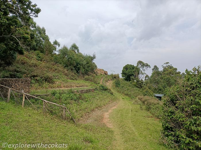 Pathway to the glamp site