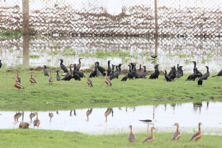 11 Unmissable Places to Visit in Bhopal - Explore with Ecokats