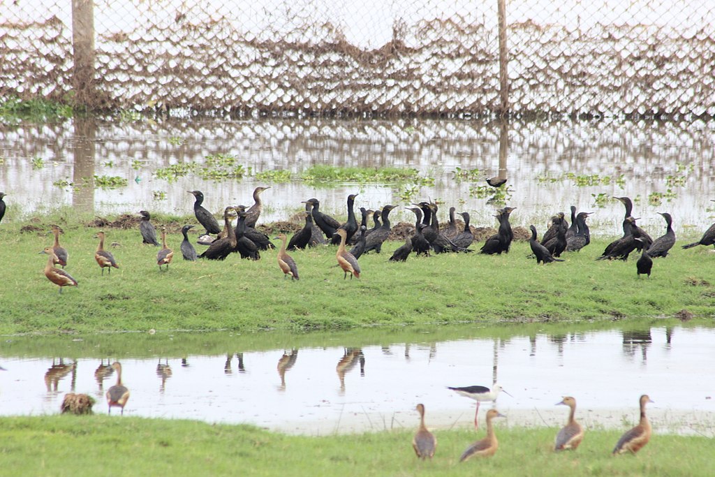 Van Vihar National Park | Bhopal Tourist Places