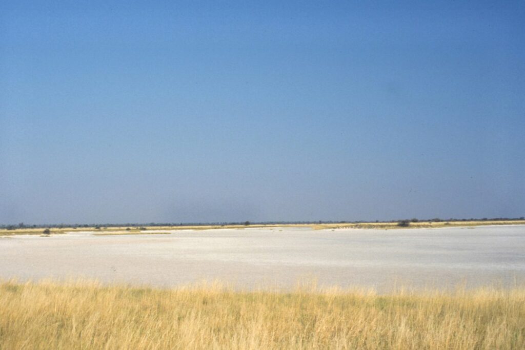 Salt Pan, Nxai Pan National Park, Botswana