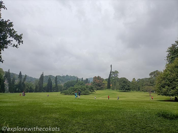 Royal Botanical Garden of Peradeniya