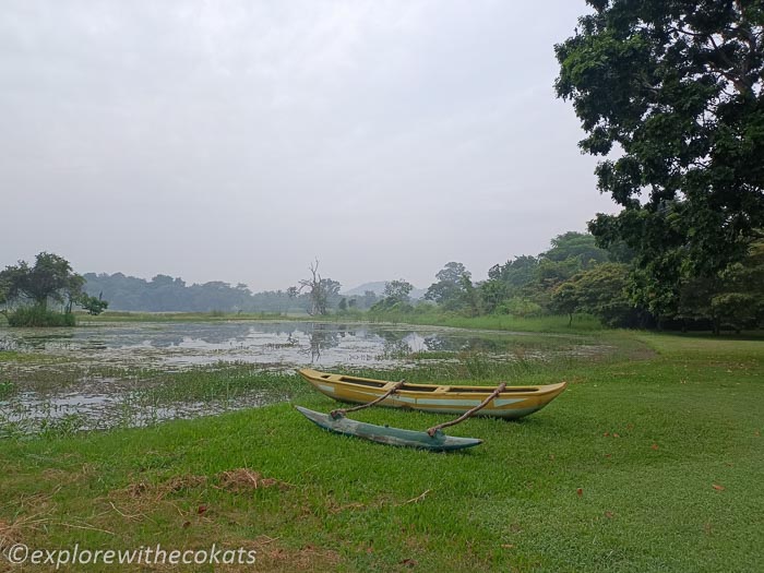 The Lake at Jetwing Dambulla