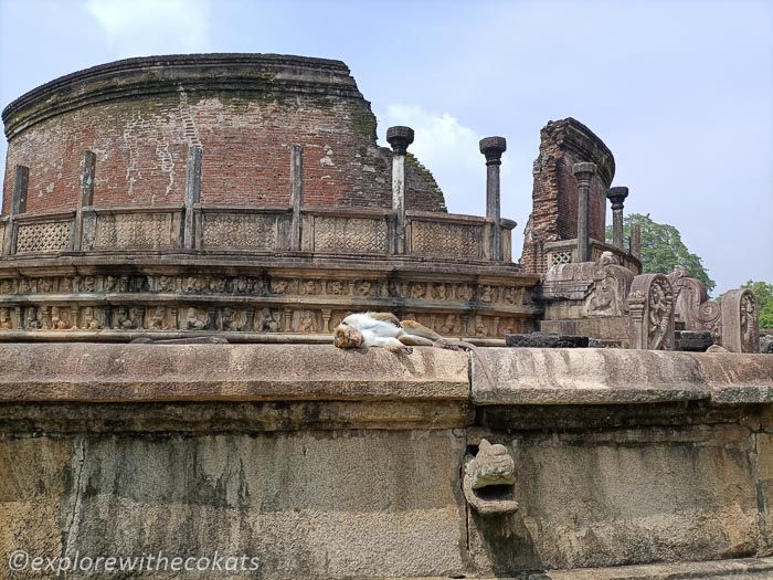 A monkey rests at the ancient heritage site