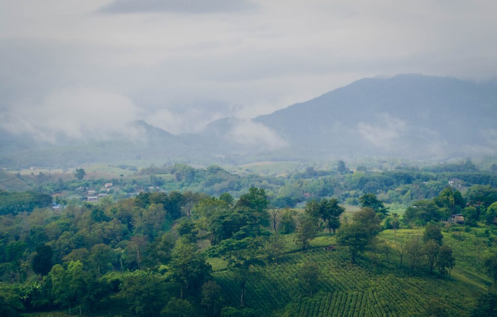 Trekking near Chiang Rai