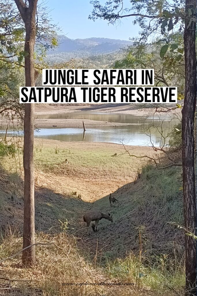 Satpura tiger reserve jungle safari