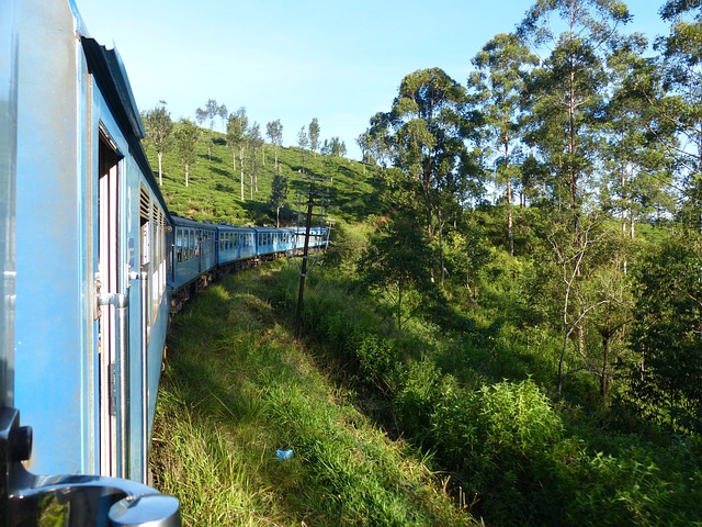 Train journey in Sri Lanka