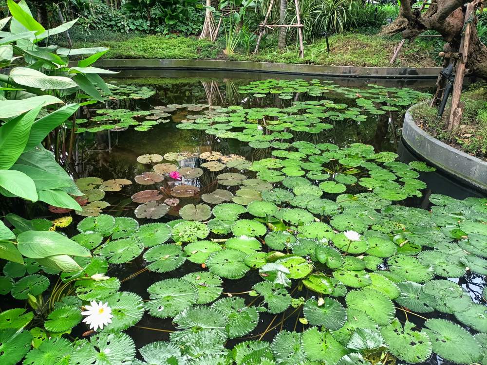 Green spaces around the hotel