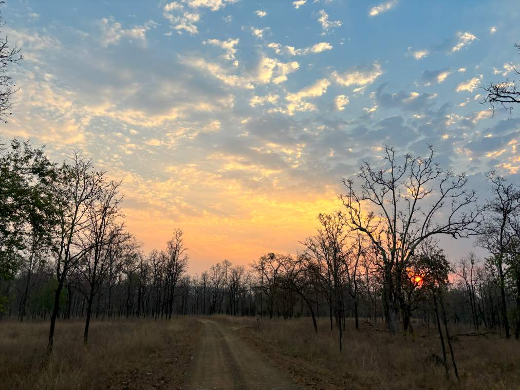 Sunset in Bori Wildlife Sanctuary