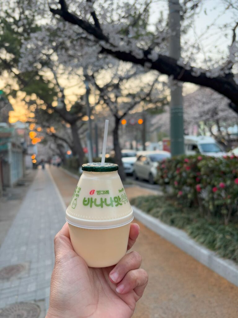 Banana milk under cherry blossom trees