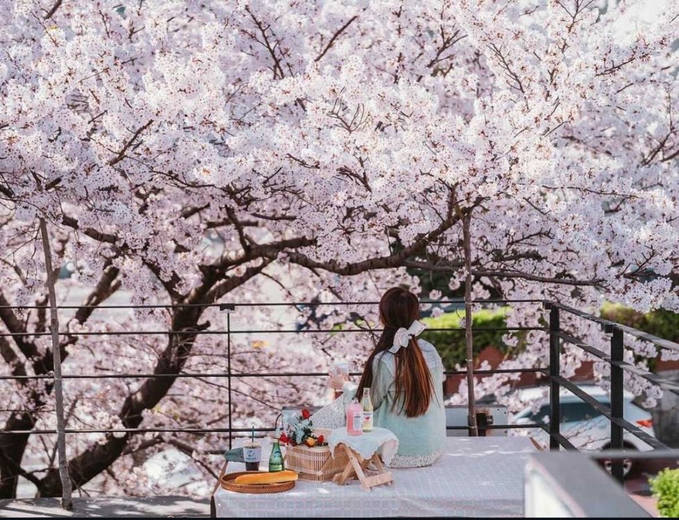 Cafe Itti, Busan