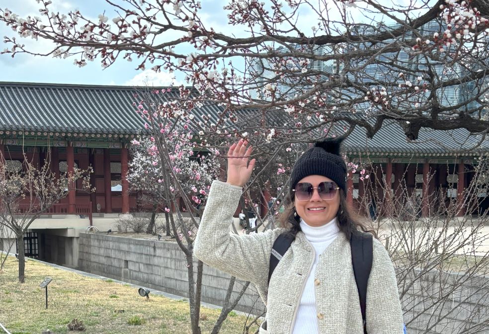 Cherry blossoms at Gyeongbokgung Palace