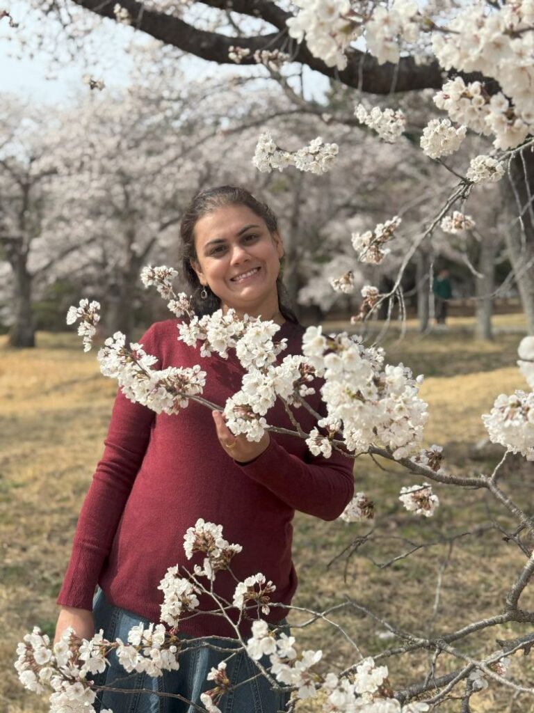Cherry blossoms in Bulguksa temple premises