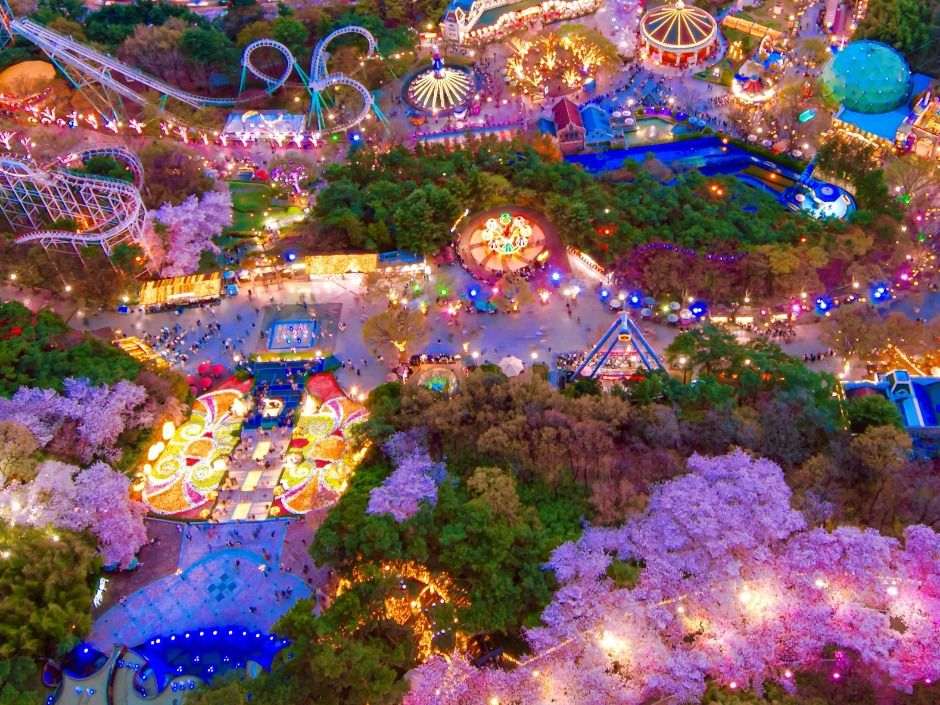 Daegu e-world cherry blossom festival