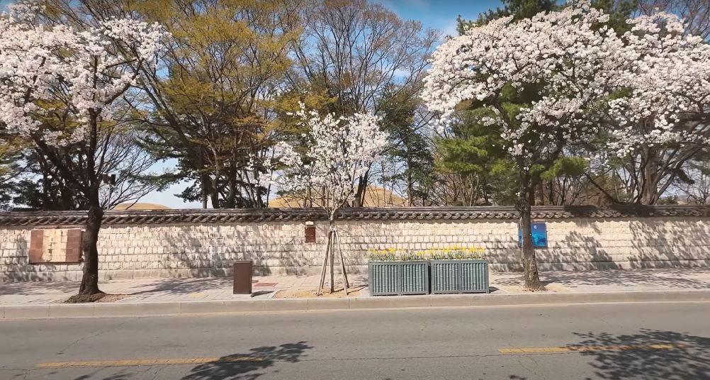 Daereungwon Ancient Tombs & Stone Wall Walkway