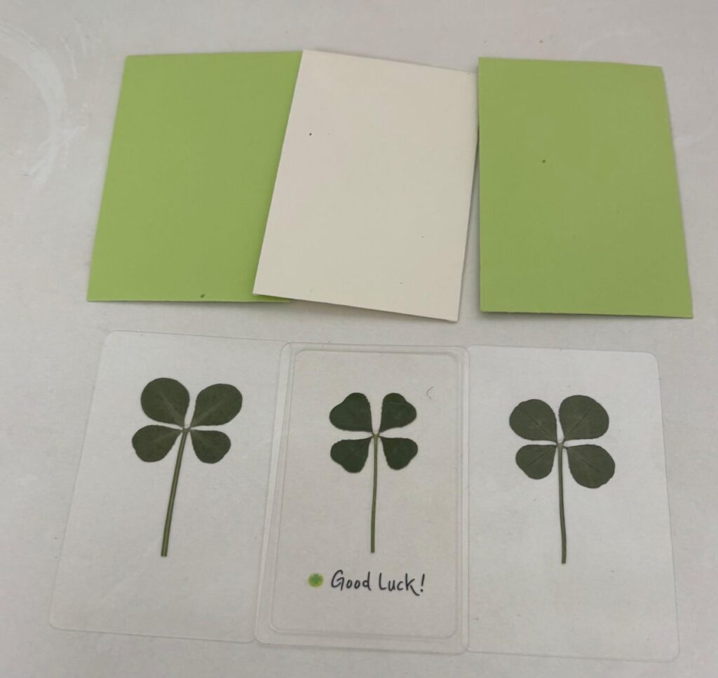 Four-leaf clover