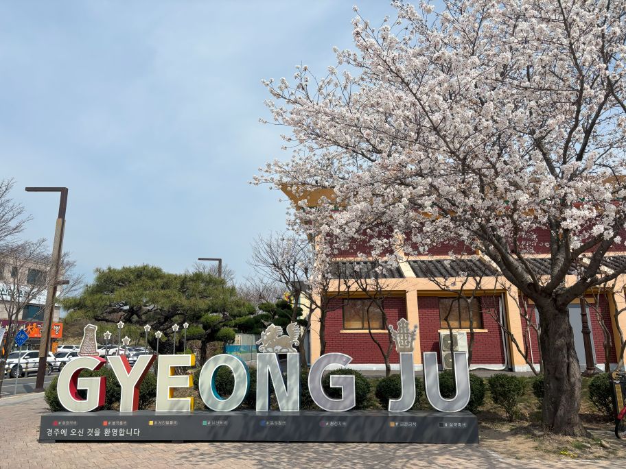 Gyeongju Cherry Blossom Festival
