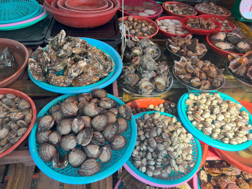 Jagalchi Fish Market_One day in Busan itinerary