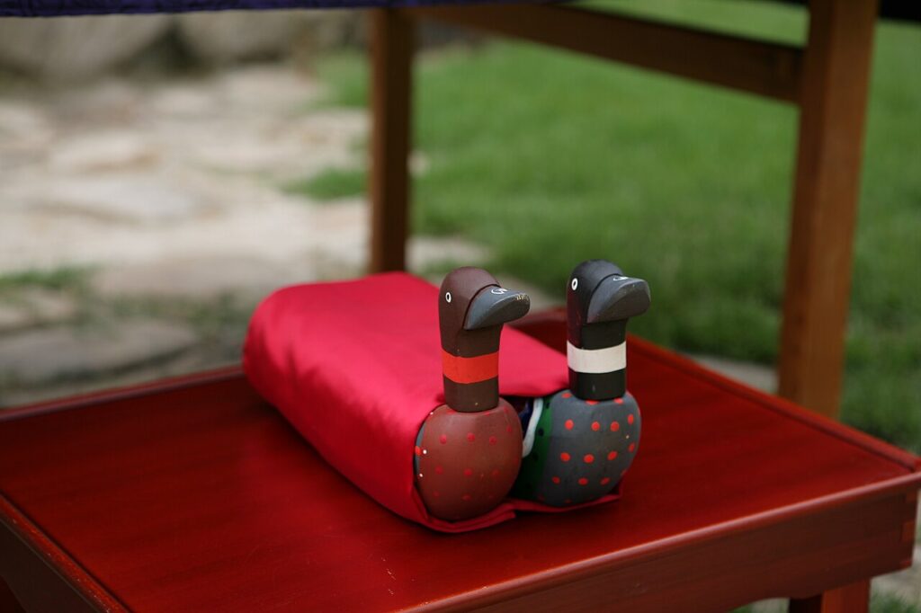 Korean wedding ducks