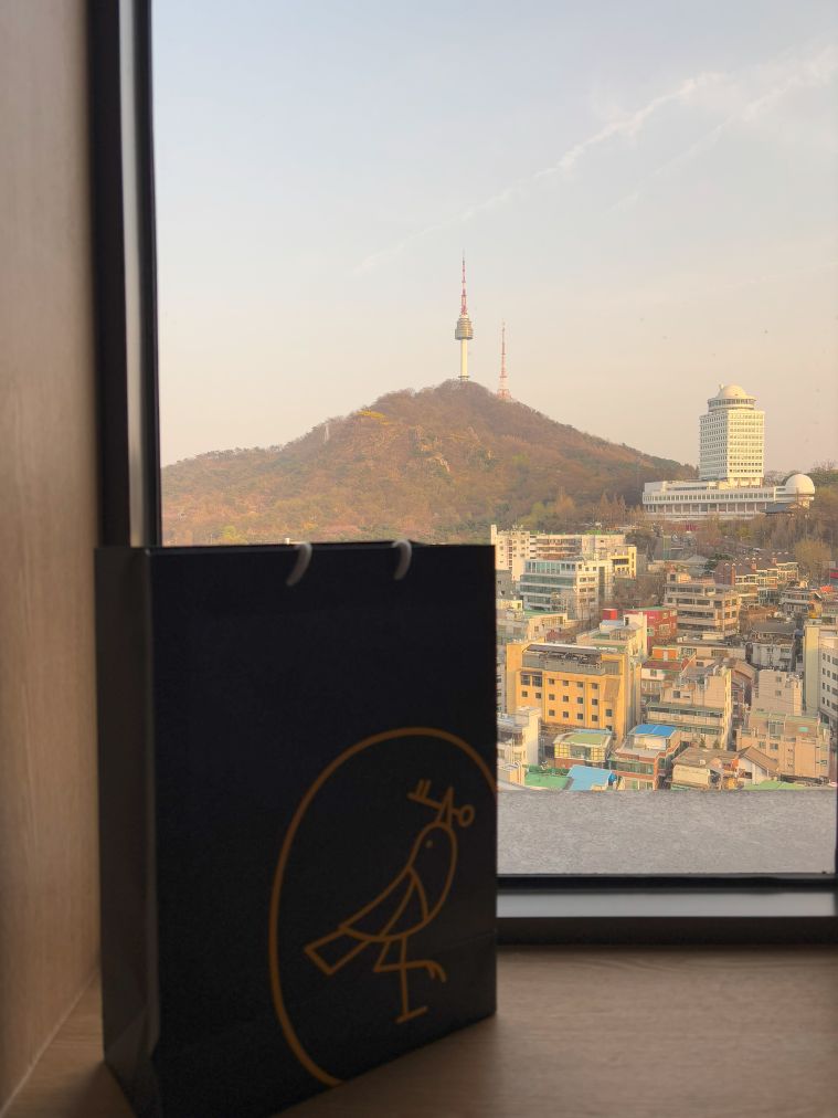 Namsan tower during the day from room window