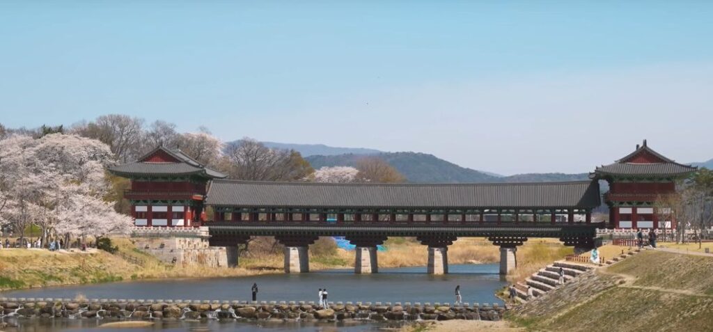 Woljeonggyo Bridge + cherry blossoms